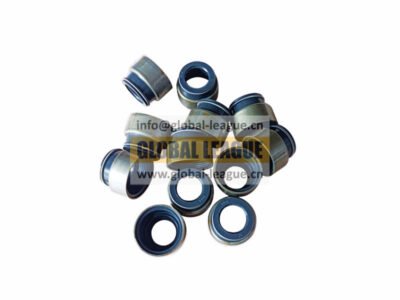 Valve stem seal  612600040444