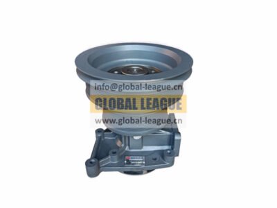 Water pump  612600061872