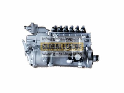 High-pressure fuel pump  612601080469