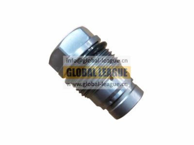 Safety valve  612630080306