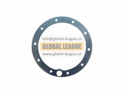 Sealing gasket  81.96601.0528