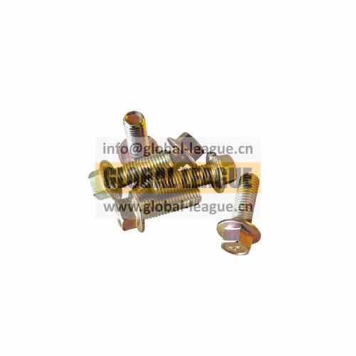 Hexagonal flange face socket set screw  90011430017