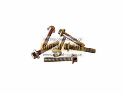 Hexagonal flange face socket set screw  90011430020