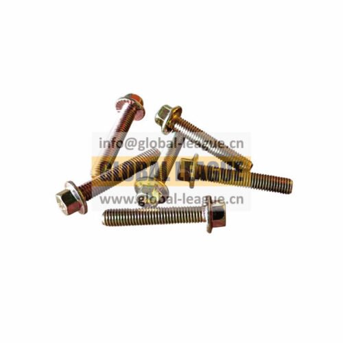 Hexagonal flange face socket set screw  90011430020