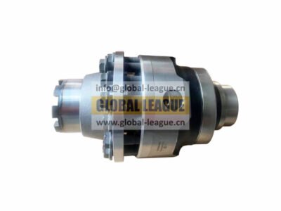 The interwheel differential  BYHDZ300TGXLJA