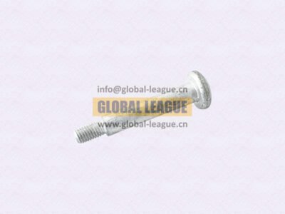 Slotted counterbored head screw  DZ14251110045