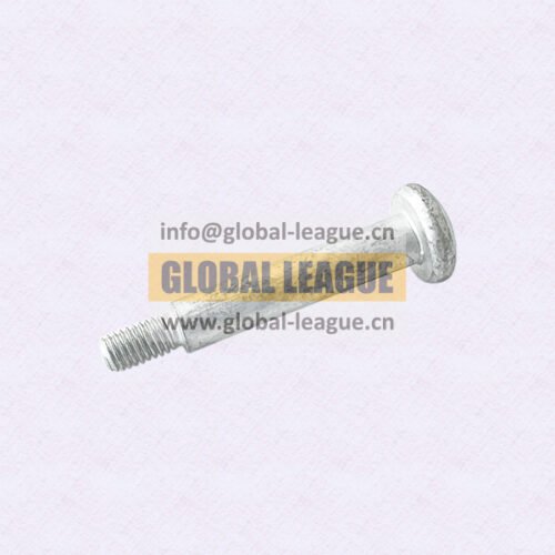 Slotted counterbored head screw  DZ14251110045