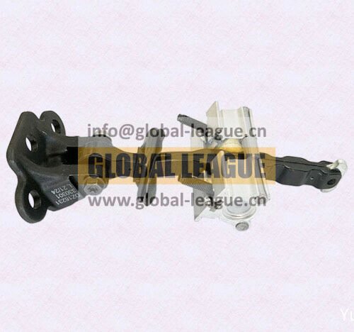 DZ16231330301 Left door limit switch DZ16231330301