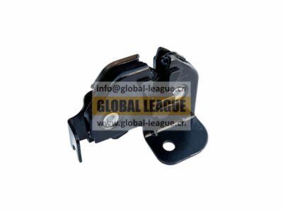 Front Hood Lock Assembly  DZ16251110070