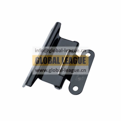 Hinge Assembly  DZ16251230020
