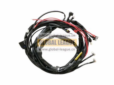 Engine Wiring Harness  DZ9100774012