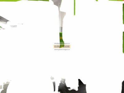 L5000V Intake Flat Tube Assembly (Left Side)  DZ91149190043