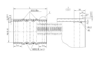 Fluorine-internal and silicone-external rubber tube  DZ93259535301