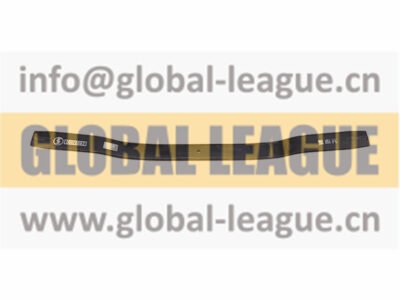 Rear leaf spring assembly  DZ9625952045904