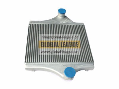 DZ96259531030 Intercooler DZ96259531030