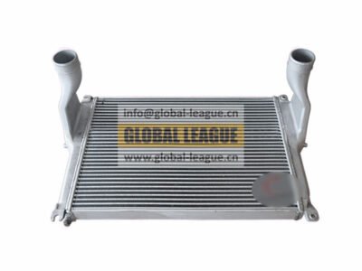 DZ96259531071 Intercooler assembly DZ96259531071