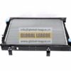 Radiator assembly  DZ96259532030