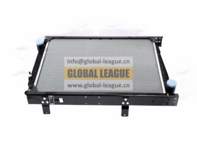 Radiator assembly  DZ96259532030