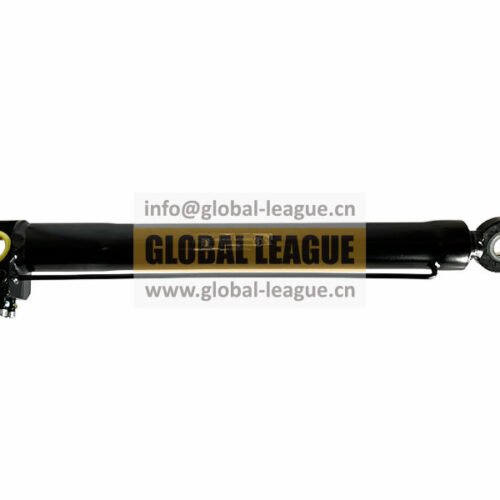 Lifting cylinder_L3000  DZ96259820570