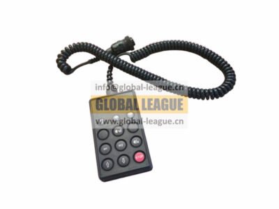ECAS Remote Control   DZ97189715401
