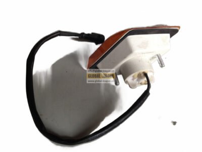 Left turn signal light   DZ97189721330