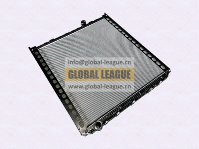 Radiator Assembly   DZ97259532205