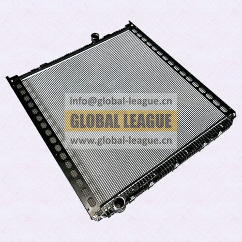 Radiator Assembly   DZ97259532205