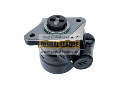Power Steering Pump   DZ98149470733
