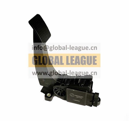 Accelerator Pedal Assembly   DZ9H259570001