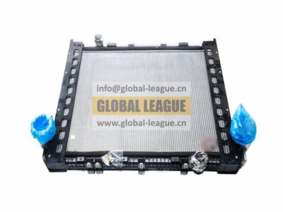 Cooler assembly in the radiator   DZ9L149530039