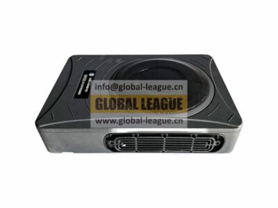 Subwoofer   DZ9L149586106