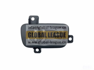 Light Combination Switch   DZ9X189584612