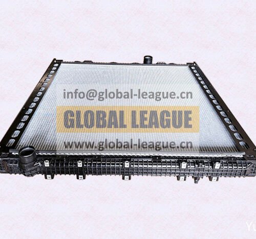 Radiator assembly   DZ9X259532004