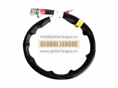 Battery Positive to Power Distribution Switch Wire (840mm_Rear)   DZ9X259773984