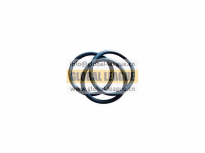 O-ring   F34B250260