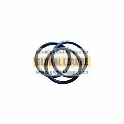 O-ring   F34B250260