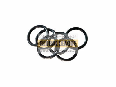 O-type sealing ring   F34B253550