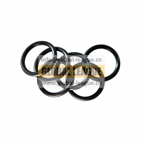 O-type sealing ring   F34B253550