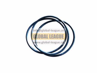 F34B530260 Sealing ring F34B530260