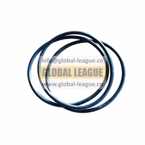 Sealing ring   F34B530260