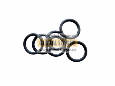 Sealing ring   F34B601900