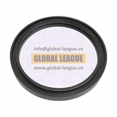 FDZ96319520516 Composite Oil Seal FDZ96319520516