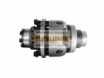 The interwheel differential   FHD9014932011301