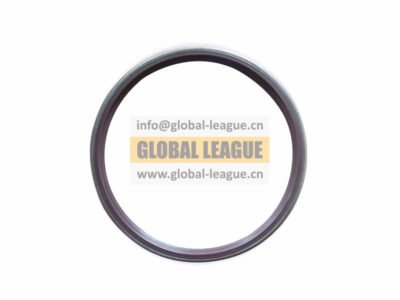 Shaft seal ring right   HD90009340139