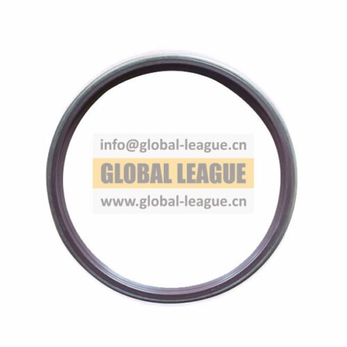 Shaft seal ring right   HD90009340139