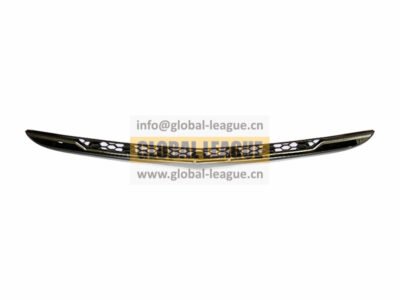 Bumper Grille   P201G2830018-ZD01
