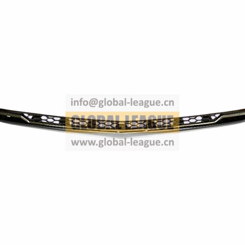 Bumper Grille   P201G2830018-ZD01