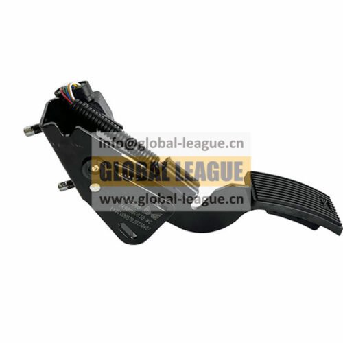 Throttle Pedal   P24901180030-WC