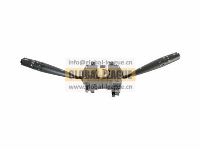 Combination Switch   P24903730010