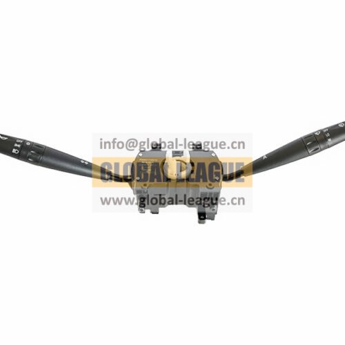 P24903730010 Combination Switch P24903730010